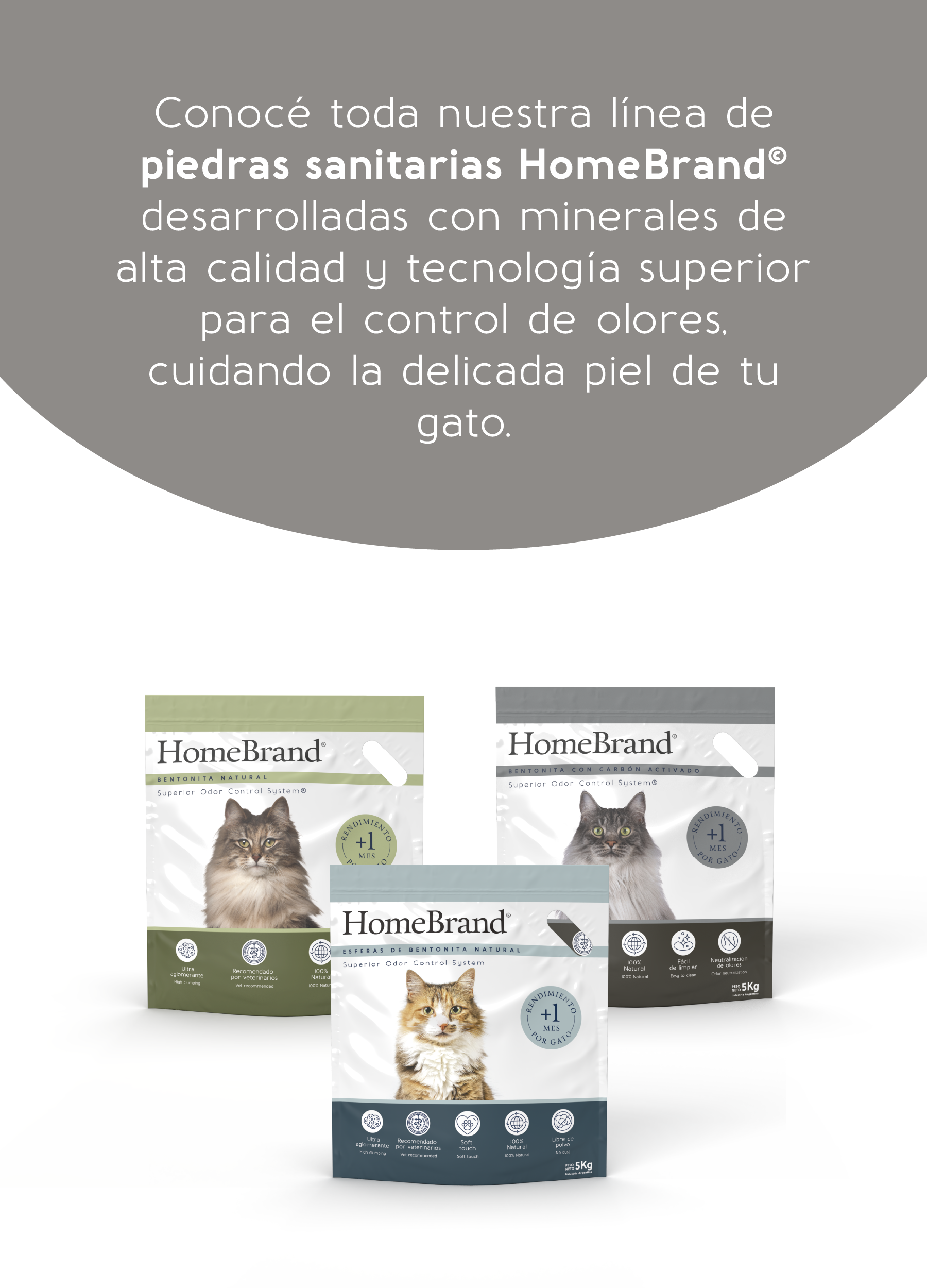 Banners Homebrand_Mobile-6