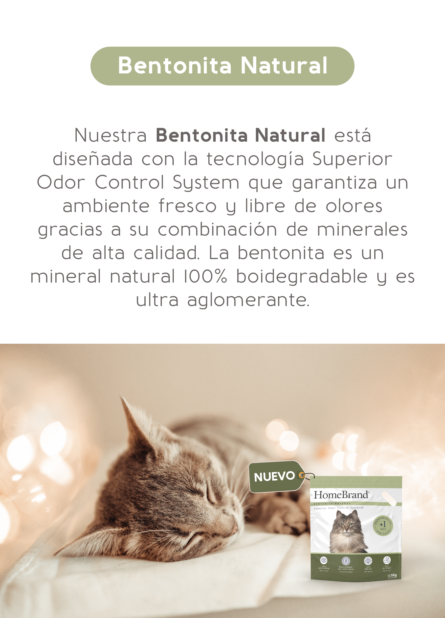 Banners Homebrand_Mobile-7
