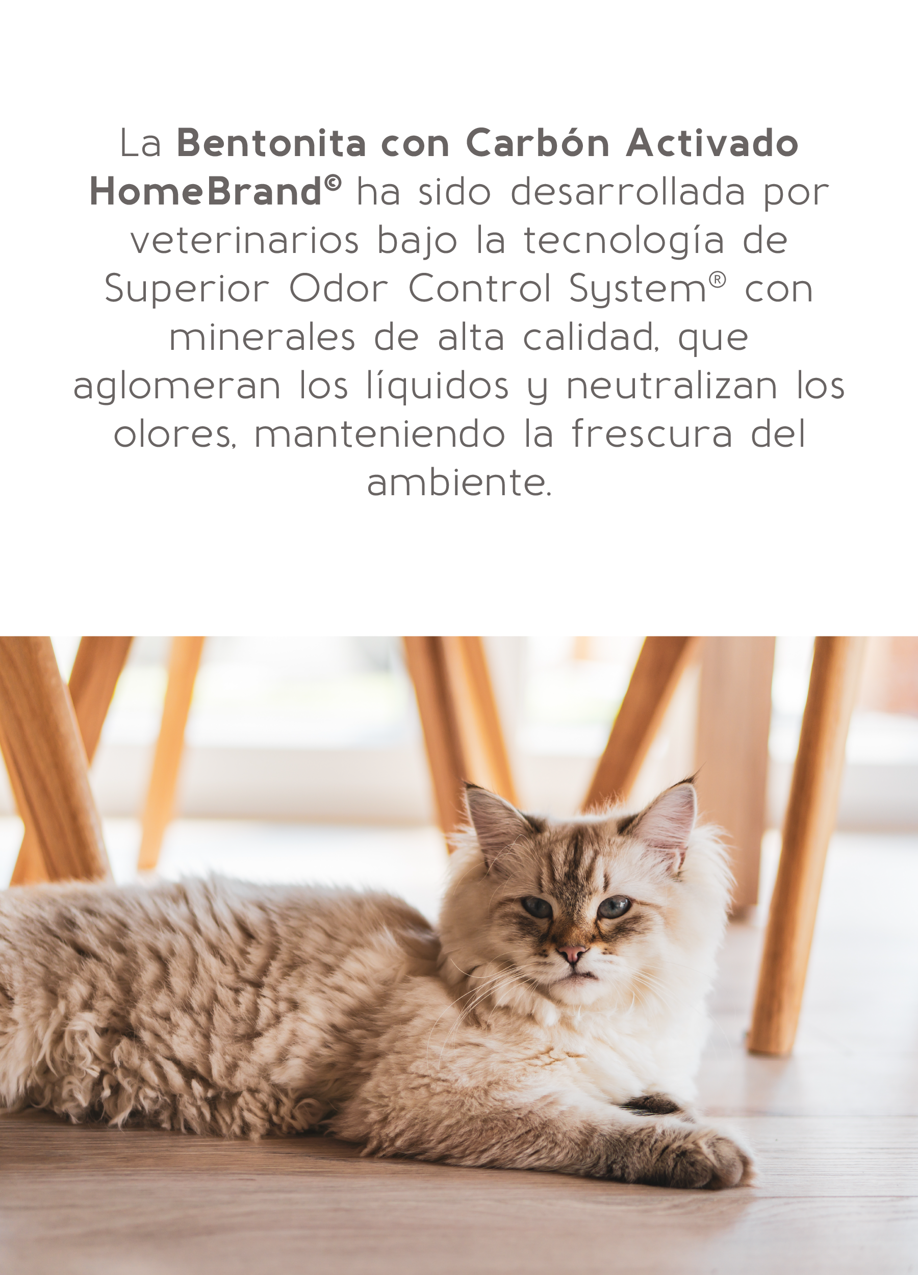 Banners Homebrand_Mobile-9